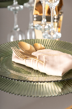 Plato presentación 12